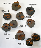 Abi Daniel, "Trout School"