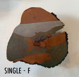 Abi Daniel, "Trout School"