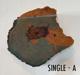 Abi Daniel, "Trout School"